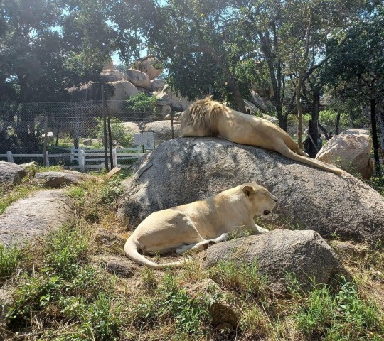 Visit 7 days in Harare, Zimbabwe Wildlife Safari in Harare