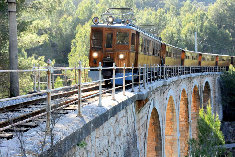 Palma: Inselrundfahrt auf Mallorca mit Boot, Zug und BusPalma: Mallorca Island Tour per Boot, Zug und Bus