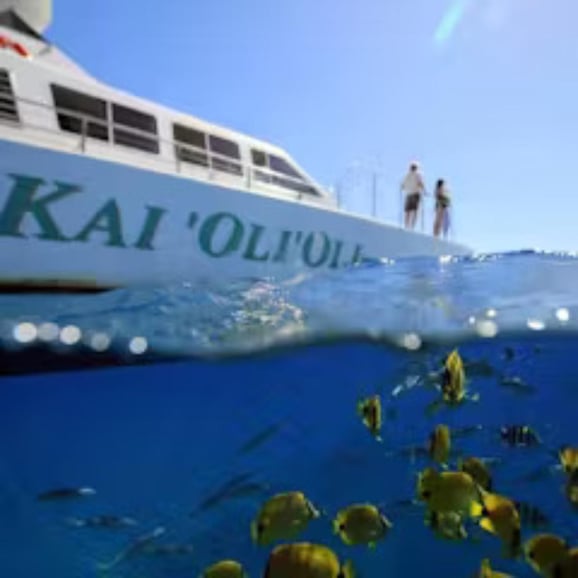 Oahu: Crucero de snorkel con ballenas y delfines y comida hawaiana