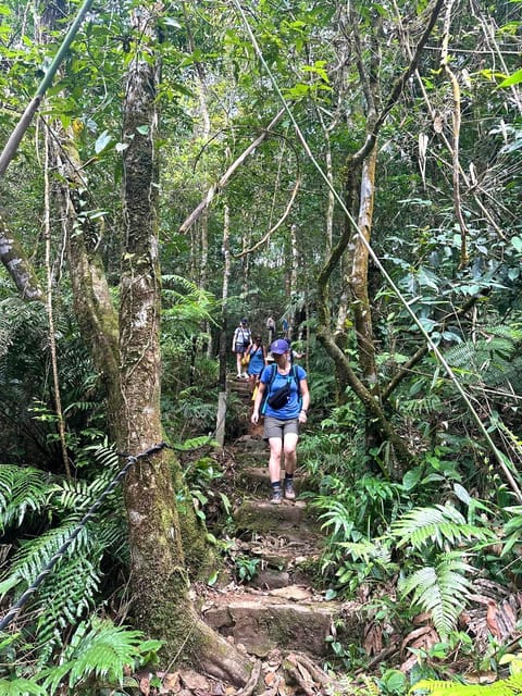 Tour di trekking del Parco Nazionale Bach Ma di 1 giorno dalla città di