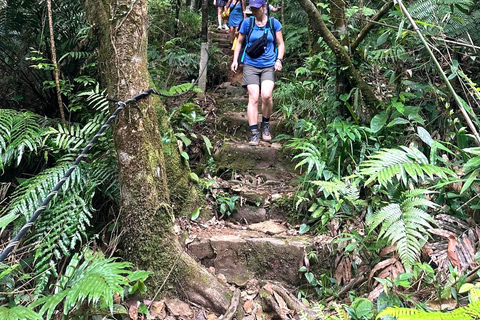 Parque nacional de Bach Ma Trekking Tour de 1 dia saindo da cidade de HueDescoberta do Parque Nacional Bach Ma Hue: viagem de um dia de ônibus