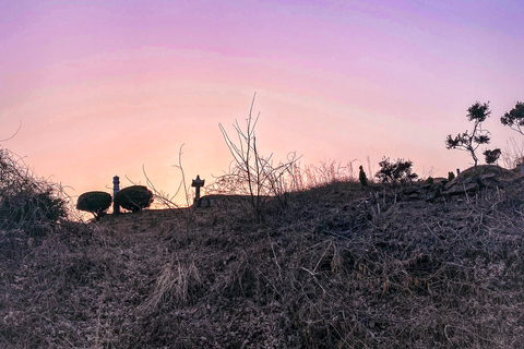 Goyang-si : randonnée sur le thème du cimetière coréen et du folkloreGoyang-si : cimetière coréen et randonnée folklorique