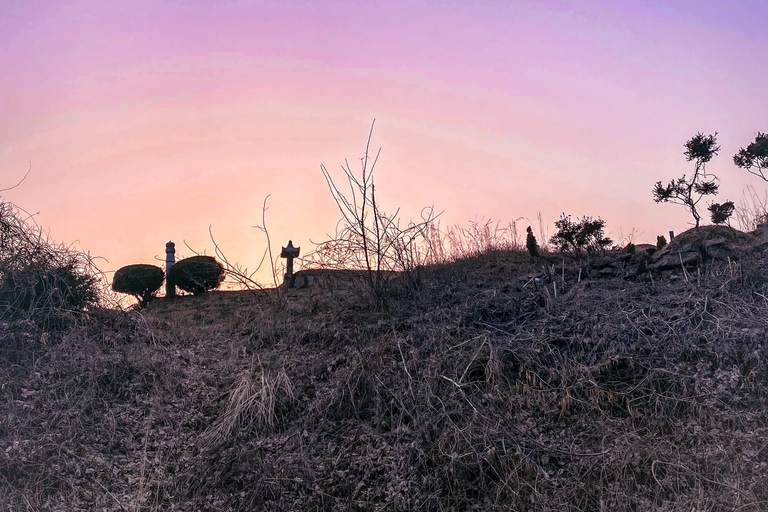 Goyang-si : randonnée sur le thème du cimetière coréen et du folkloreGoyang-si : cimetière coréen et randonnée folklorique