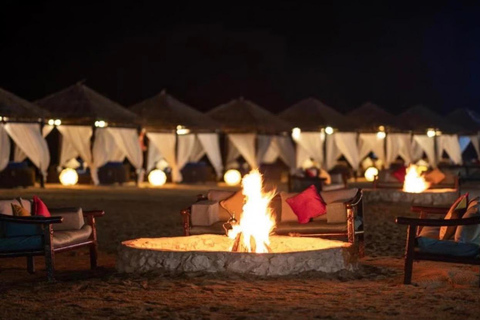 Doha Arabian Overnight : Desert Safari & Starlit Camp Stay