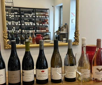 Experiência de degustação de vinhos no coração de Marselha