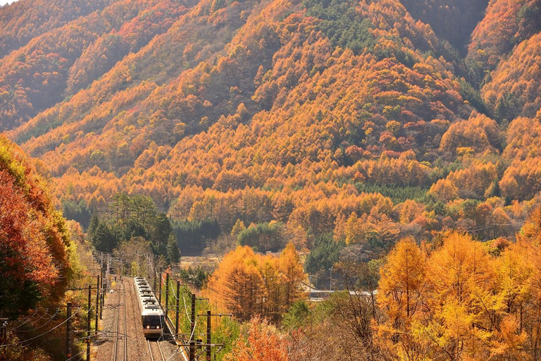 Nagoya: Inuyama Castle, Magome-juku, &amp; Tsumago-juku Tour