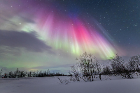 Tromsø: Northern Lights Hunt with Photos and Hot Food