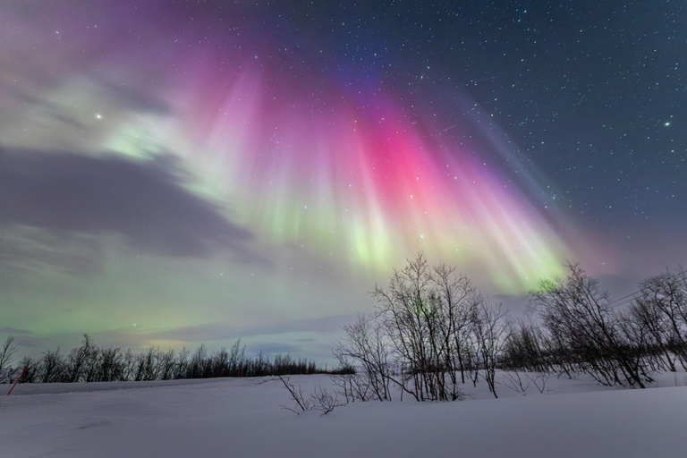 Tromsø: Northern Lights Hunt with Photos and Hot Food