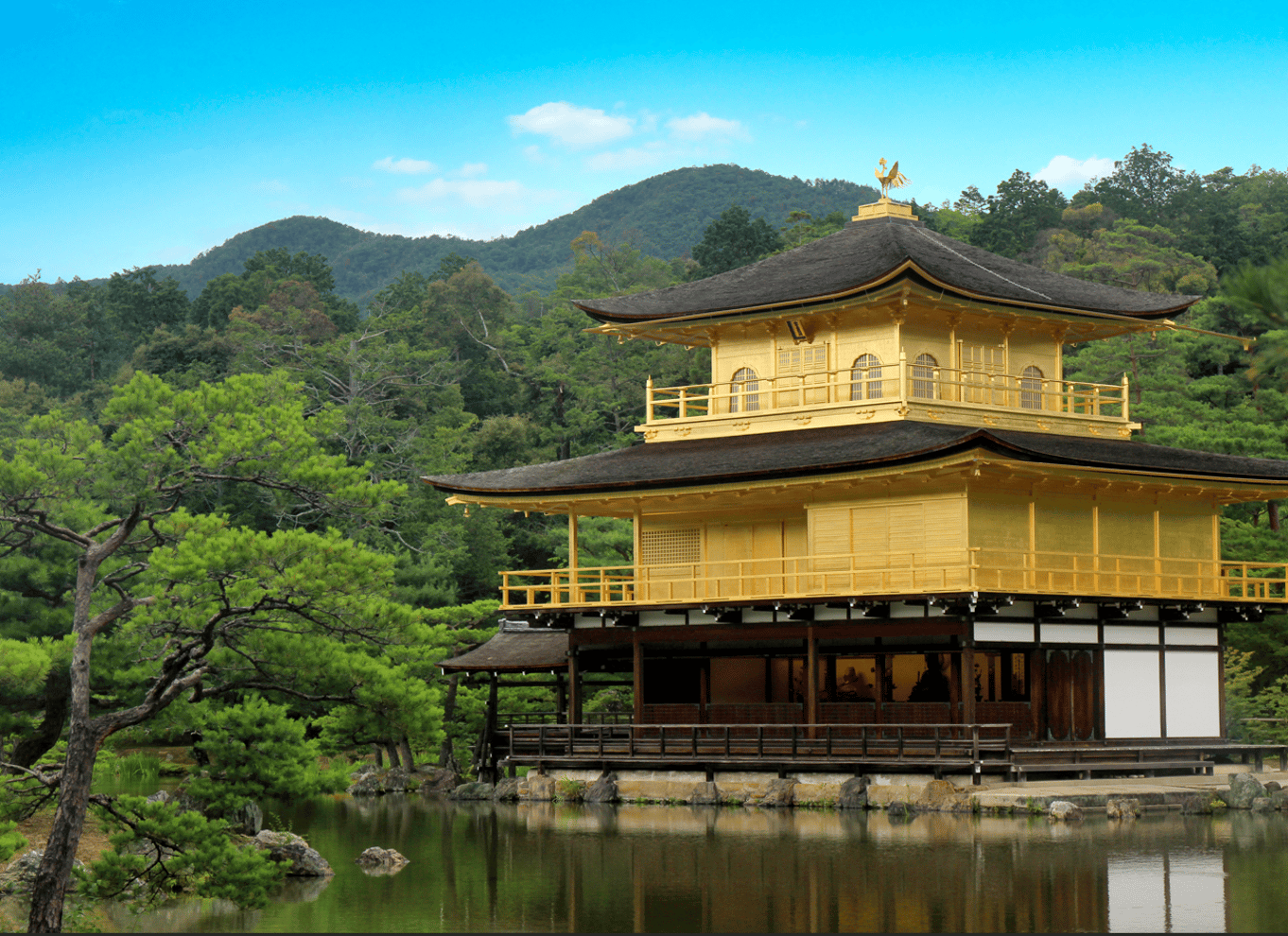 Fra Osaka/Kyoto: Kyoto og Nara 1-dags guidet tur