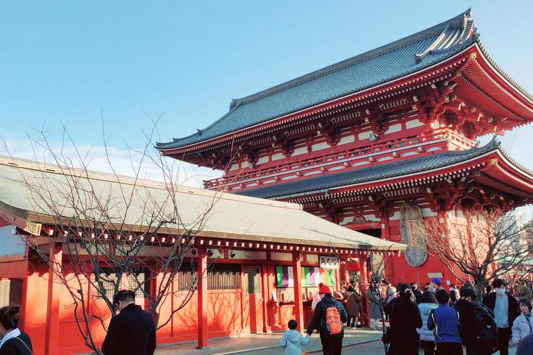 Tokyo : Visite d'une jounée privée avec chauffeur anglaisVisite d'une jounée privée personnalisée à Tokyo avec chauffeur anglais