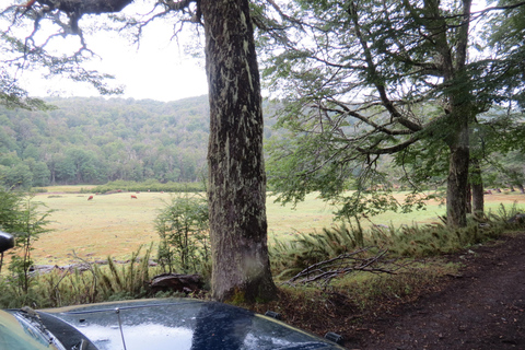 Off-Road and hicking Adventure in San Martin de los Andes Pick Up, Hicking and Snack