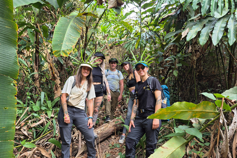 Chiang Rai: 2-Day Jungle Trek only walk with Waterfall