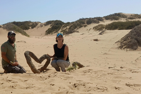 Small Group Sandwich Harbour 4x4 tour where dunes meet ocean