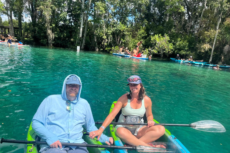Three Sister Springs: Self Guided Tour- Clear Kayak Rental Kings Bay/Three Sisters: Self Guided Tour- ClearBottom Kayak