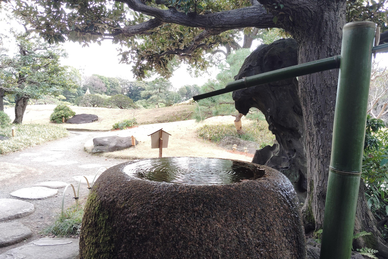 Tokio: Kiyosumi, Hama-Rikyu en Kyu-Yasuda Tuin Tour