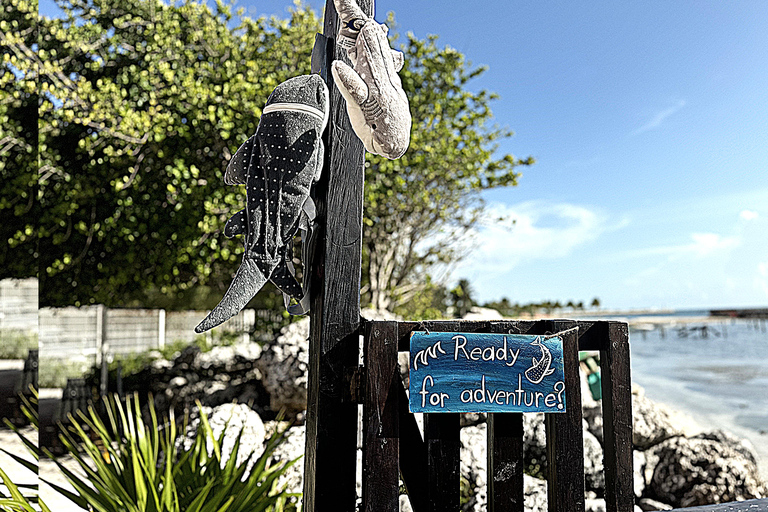 Katamaran Unlimited do Isla Mujeres z Playa del Carmen