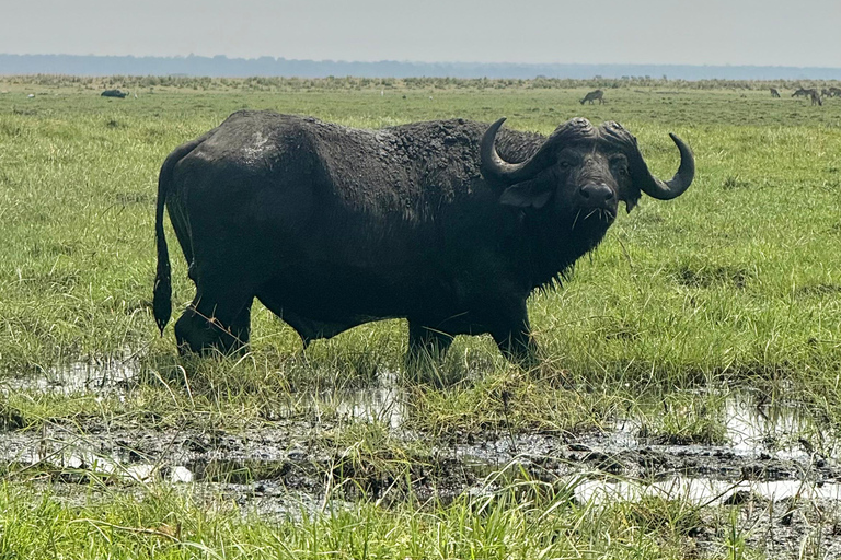 Livingstone: Chobe River Premium Photo Cruise