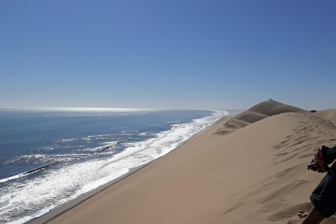 Walvis Bay: Catamaran Cruise and Sandwich Harbour Tour