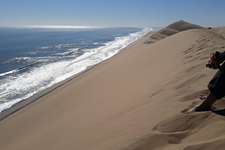 Walvis Bay: Catamaran Cruise and Sandwich Harbour Tour