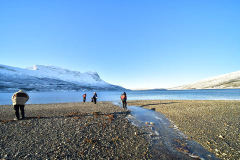 Abisko: Fjord Sightseeing and Photography Tour