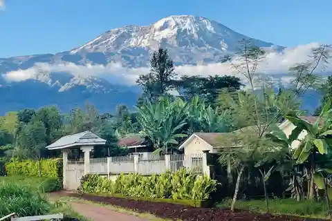 Excursão cultural pela vila do Kilimanjaro: canções, culinária, comunidade