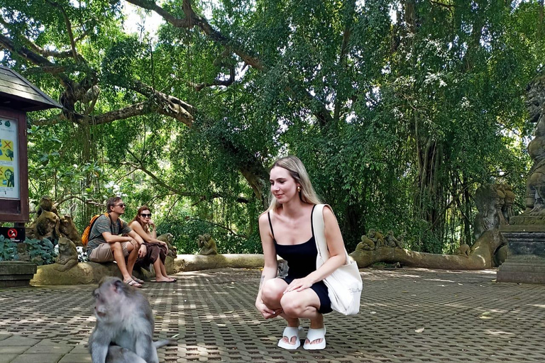 ubud trip monkey forest sanctuary