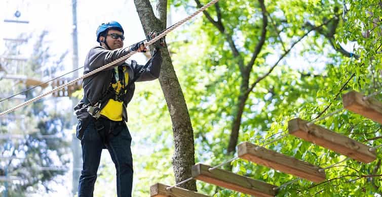 Dallas: Aerial Adventure Course Park Pass | GetYourGuide