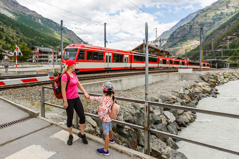 Swiss Alps by Train: Bernina & St. Moritz from Milan Tour with Standard Carriage