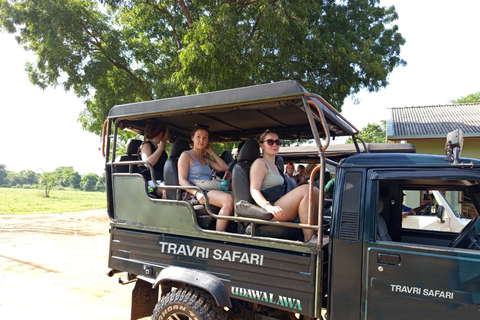 Yala, Udawalawe Safari &amp; Elephant Home Esperienza di vitaYALA Safari, Casa dell'elefante Esperienza di vita