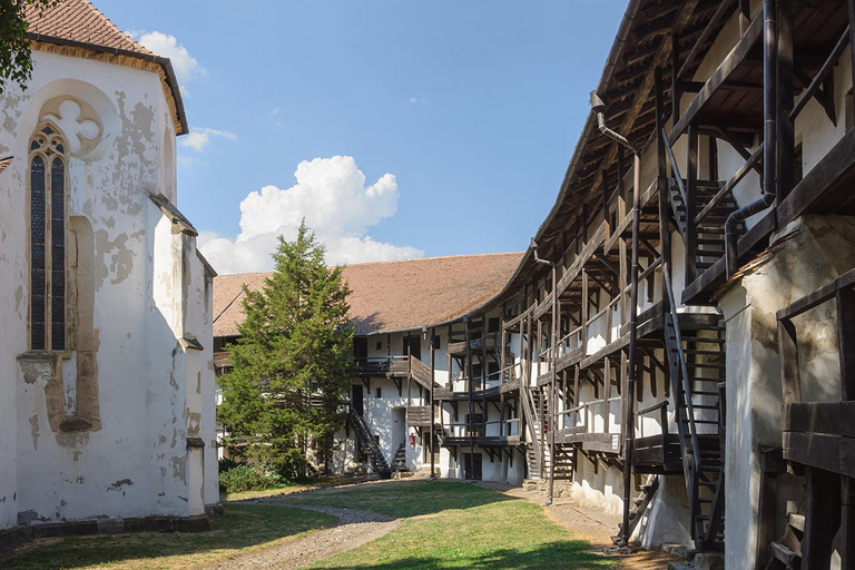 Da Bucarest: fortezze nascoste della Transilvania, tour di 1 giornoDa Bucarest: fortezze nascoste della Transilvania, gita di un giorno