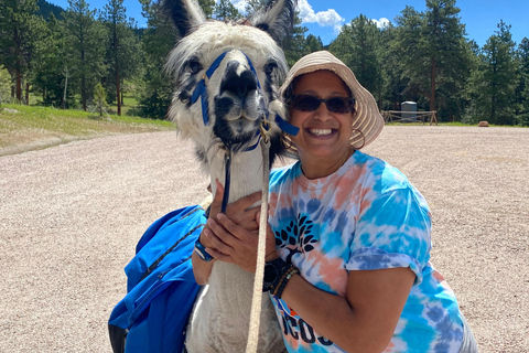 Denver: Llama Hike in the Rocky Mountains