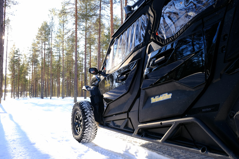 Helsinki: Buggy Ride, Reindeer Farm Visit, and Picnic