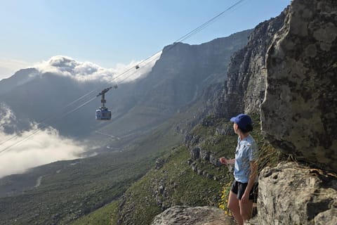 Cape Town: Table Mountain Botanical Hike
