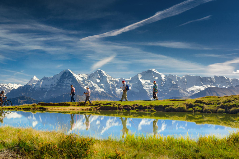 Escursione privata di un giorno: Lucerna e la vetta d&#039;Europa&gt; Jungfraujoch