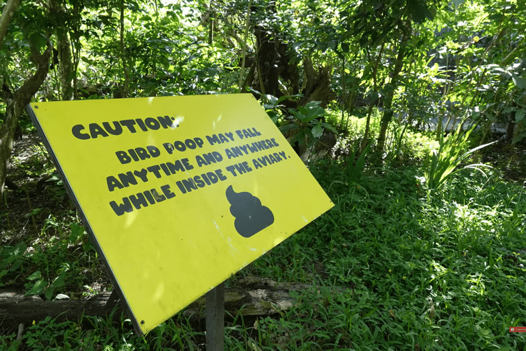 Cebu Safari: Experience Wildlife Up Close