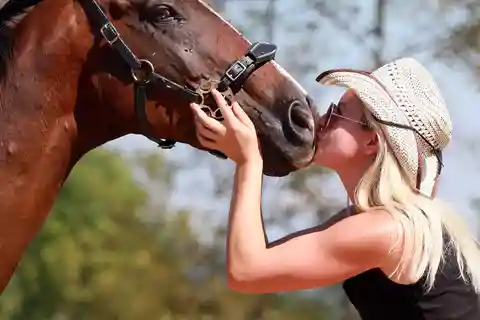 Wild Spring Ranch: Rakovica, Croatia, Horse Riding