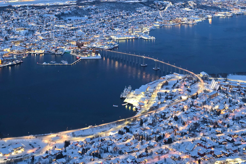 Tromsø: Fjellheisen Local Guided Hike