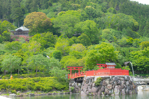 Osaka/Kyoto: Katsuoji & Arashiyama & Kinkakuji Day Tour 9:00 AM Depart from Kyoto