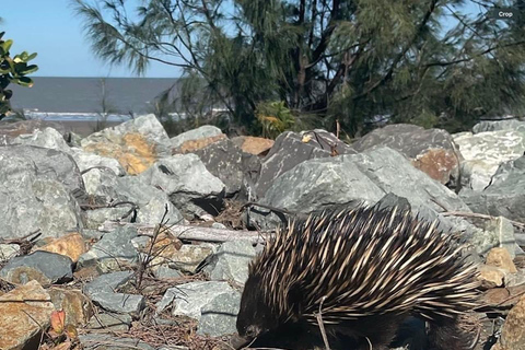 Airlie Beach: Conway Beach & George’s Diner Tour