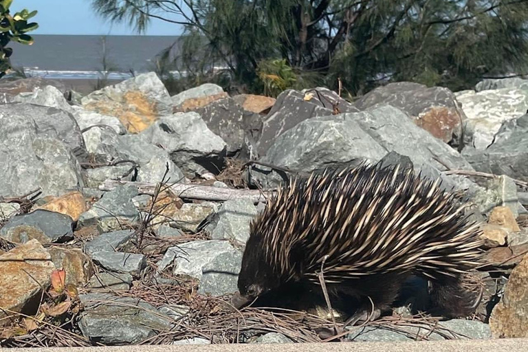 Airlie Beach: Conway Beach & George’s Diner Tour