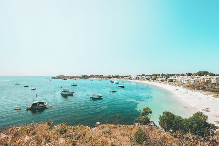 Från Fremantle: SeaLink Rottnest Ferry och cykeluthyrning9:00 Avresa