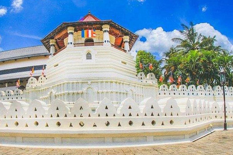 Colombo/Negombo: Sigiriya, Kandy, Ella 3-Day Trip with Train