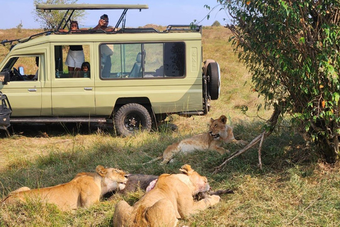 3 days Masai Mara with Giraffe Centre visit joining safari Upgrade your accommodation to lodge