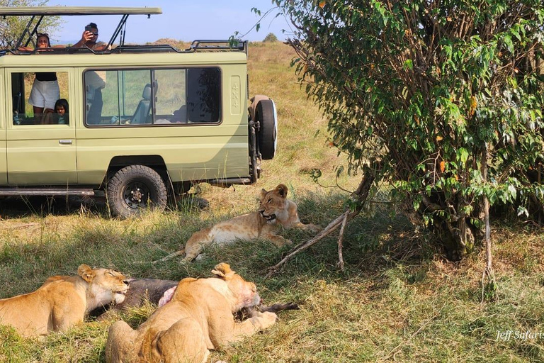 3 days Masai Mara with Giraffe Centre visit joining safari Upgrade your accommodation to lodge