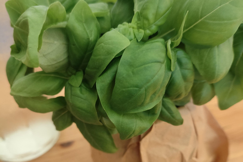 Exploring and tasting Genova