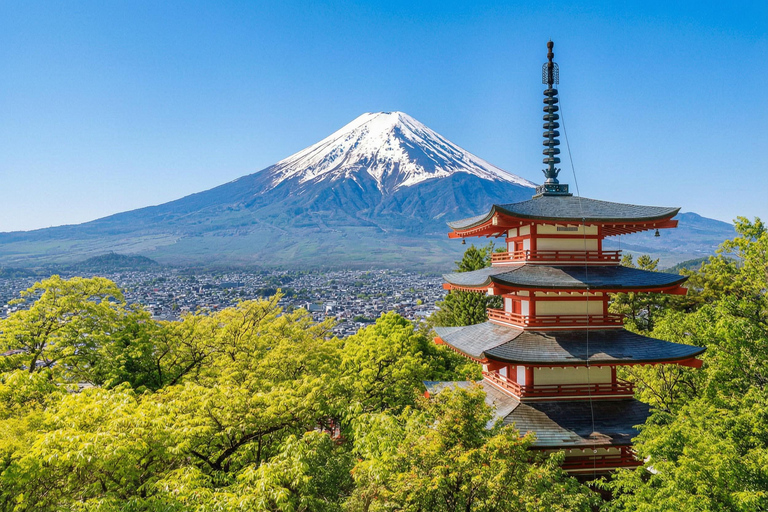 Mt. Fuji & Hakone Tour: Arakurayama, OshinoHakkai, Owakudani Tokyo Station | 7:30 AM Departure with English Guide