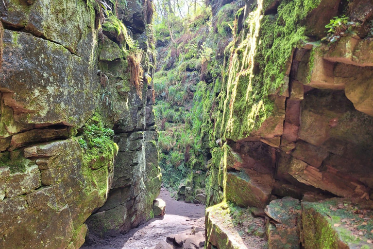 Manchester: Peak District 3-Walk 1 Day Tour