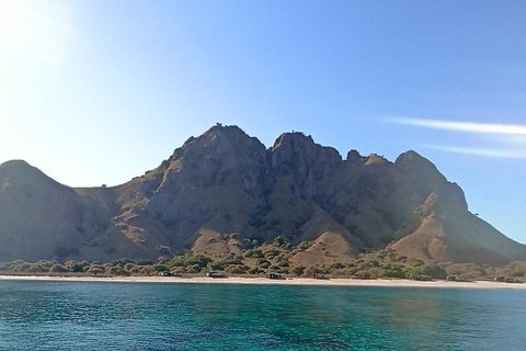 Labuan Bajo: Excursão de um dia a Komodo e mergulho com snorkel