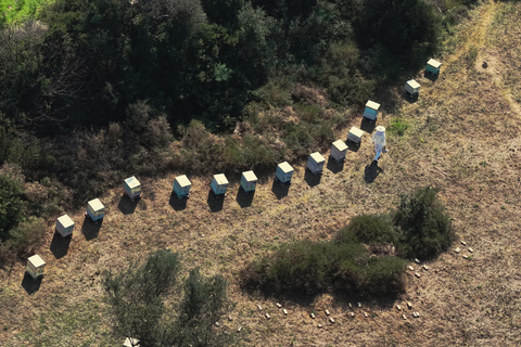 Kalamata: Beekeeping Experience with Honey Tasting