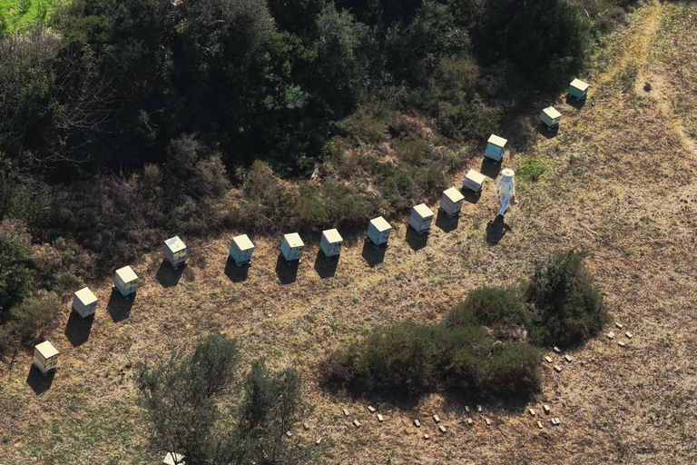 Kalamata: Beekeeping Experience with Honey Tasting